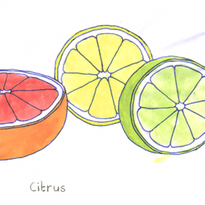 Citrusnot