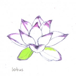 Lotus