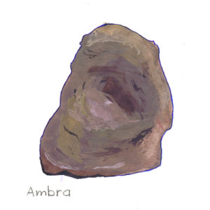 Ambra